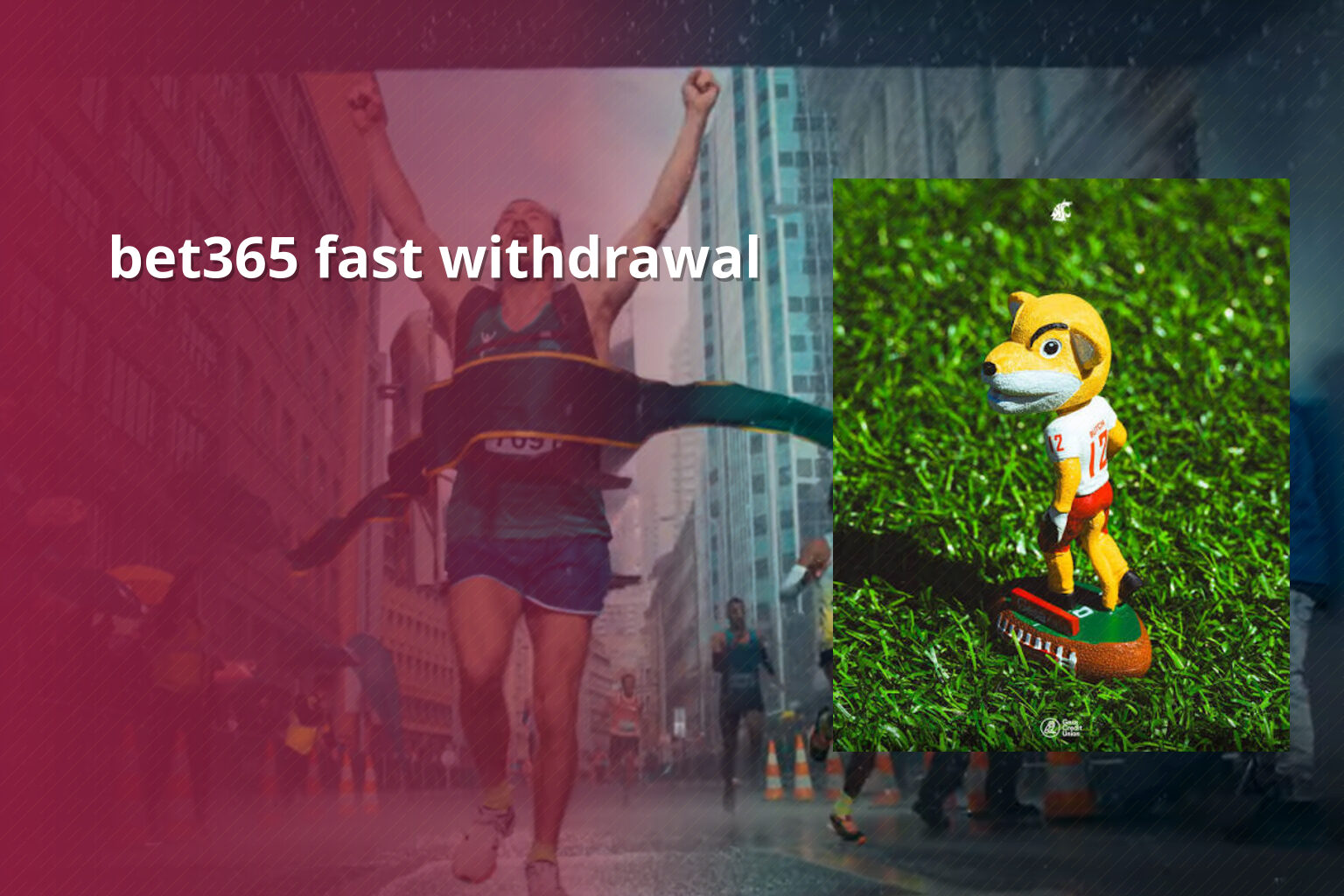 bet365 fast withdrawal - gaming_brand