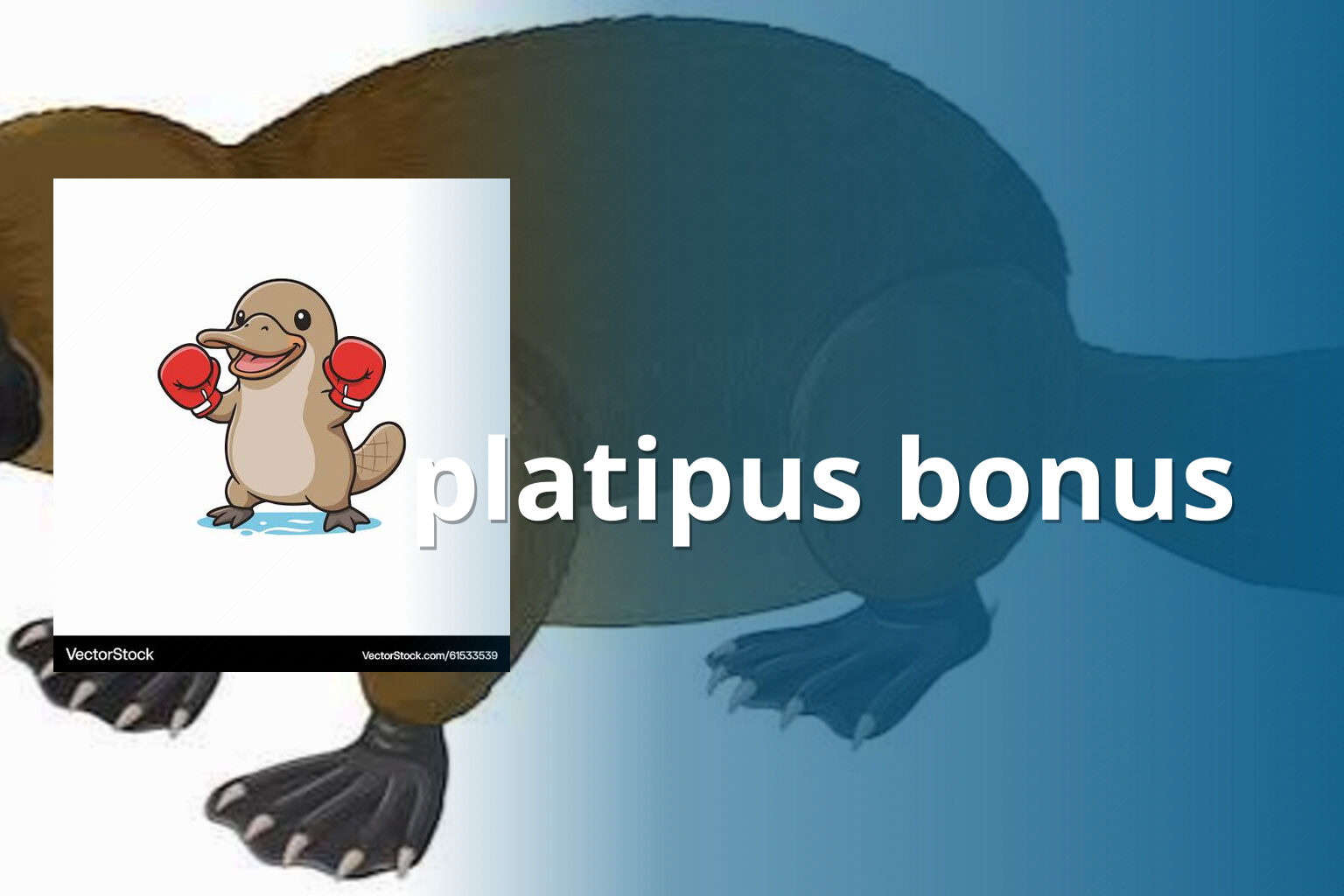 platipus bonus - gaming_brand