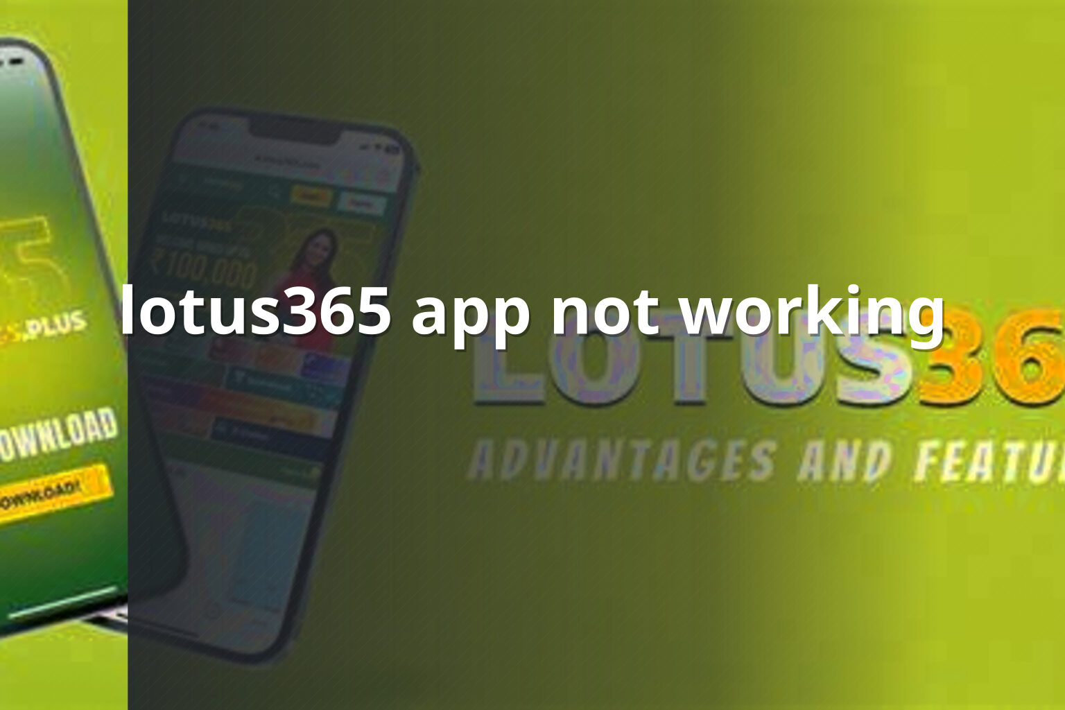 lotus365 app not working - gaming_brand