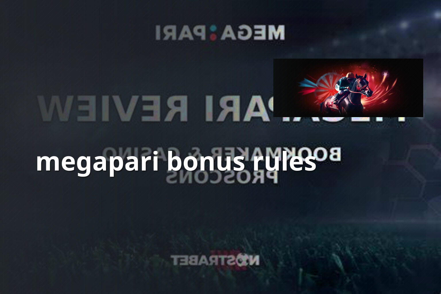 megapari bonus rules - gaming_brand