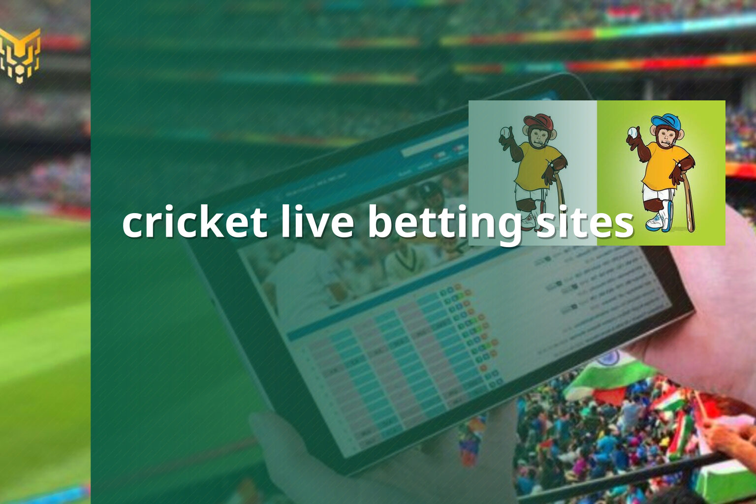 cricket live betting sites - การพนัน