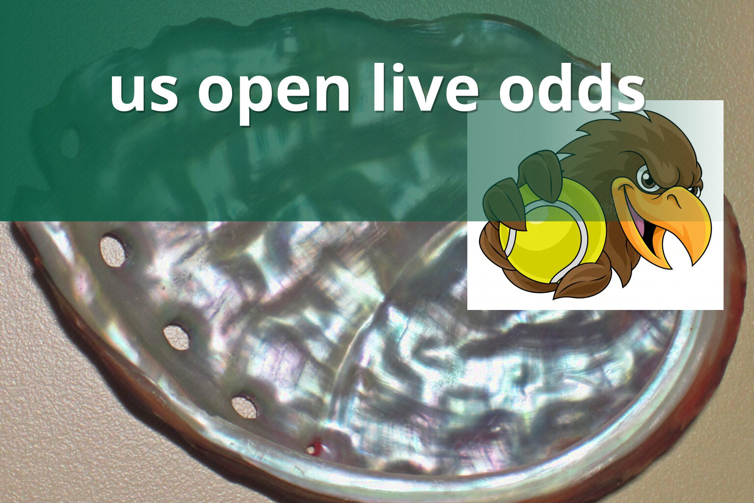 us open live odds - sportsbook