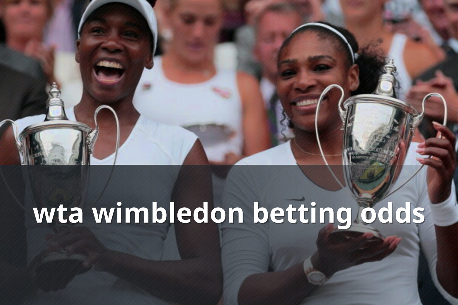 wta wimbledon betting odds - sportsbook