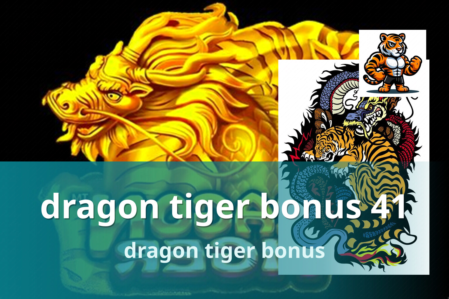 dragon tiger bonus 41 dragon tiger bonus