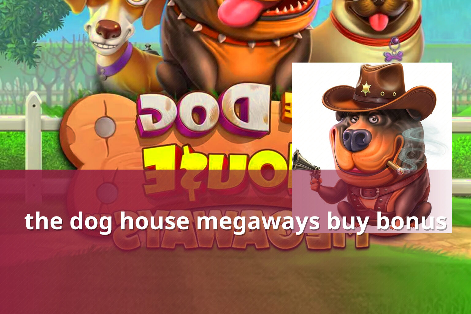 the dog house megaways buy bonus - slots