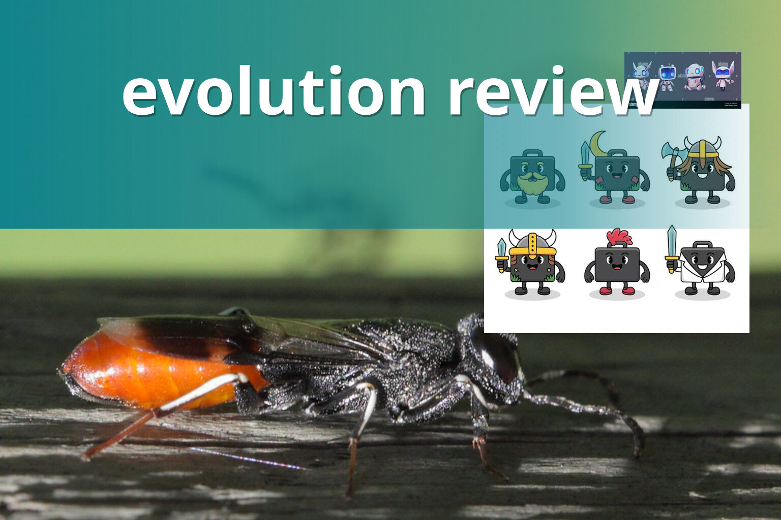evolution review - gaming_brand