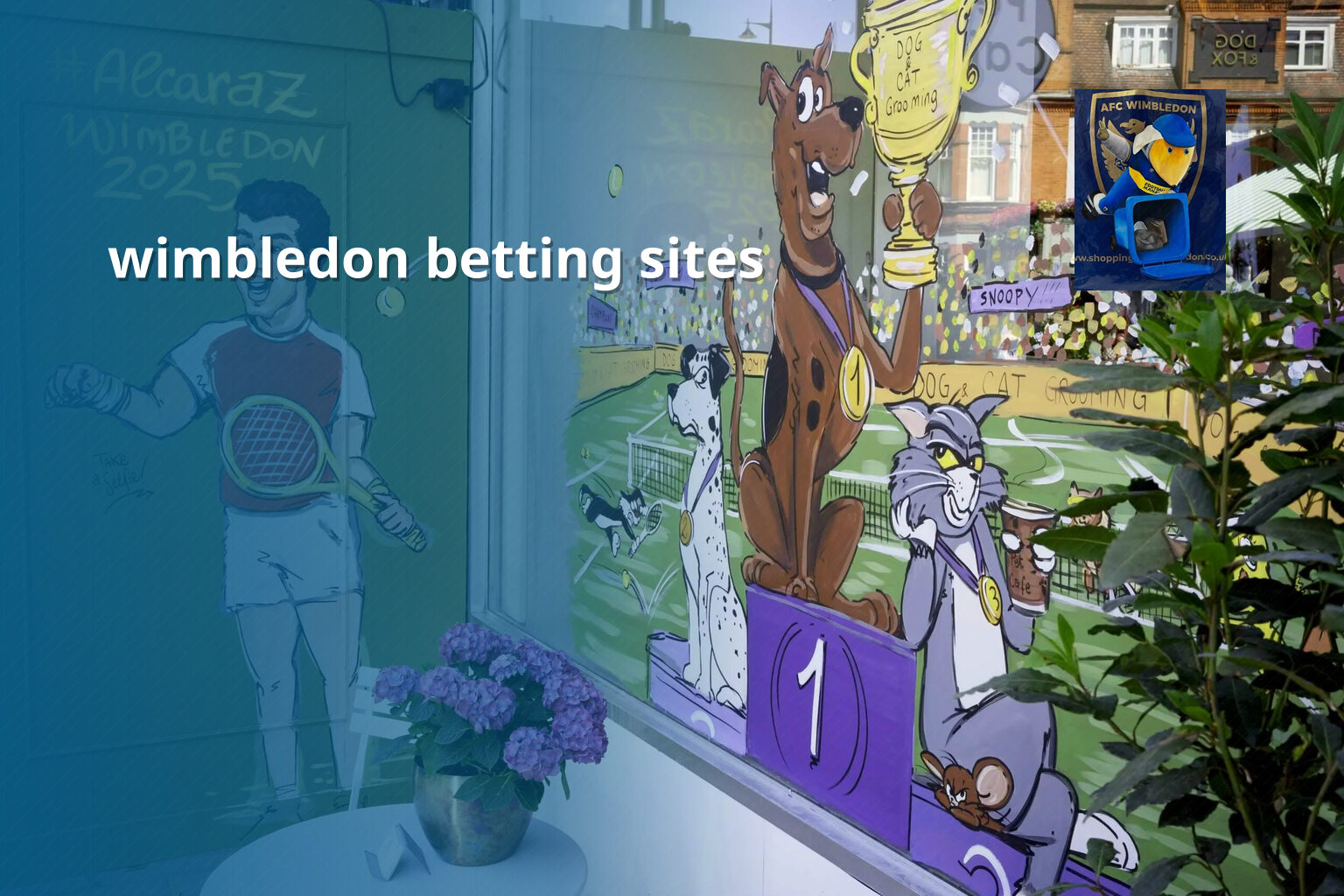 wimbledon betting sites - sportsbook