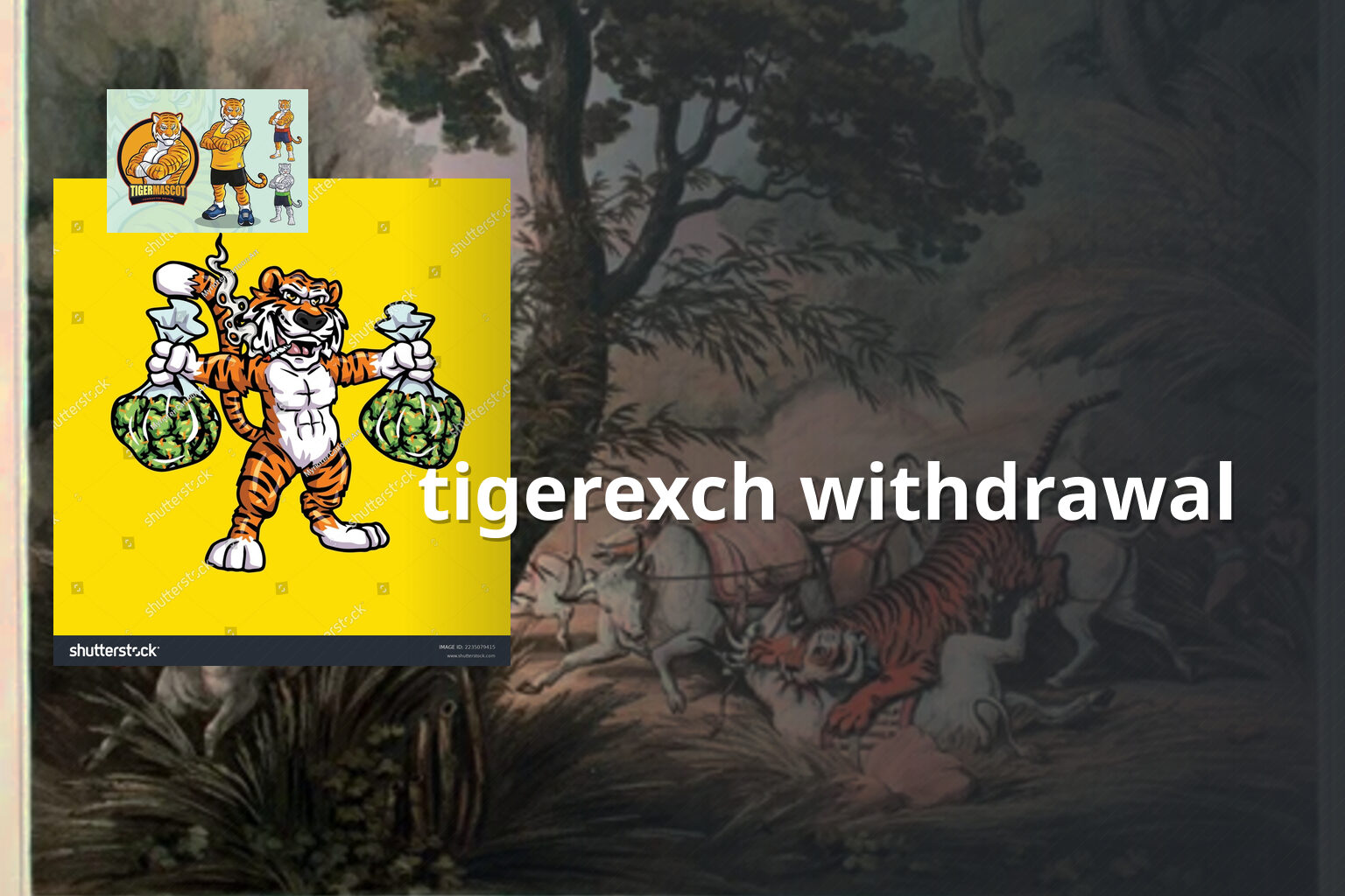 tigerexch withdrawal - gaming_brand