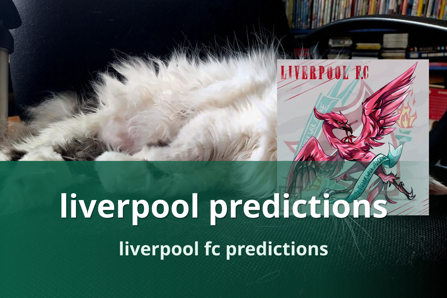 liverpool predictions liverpool fc predictions
