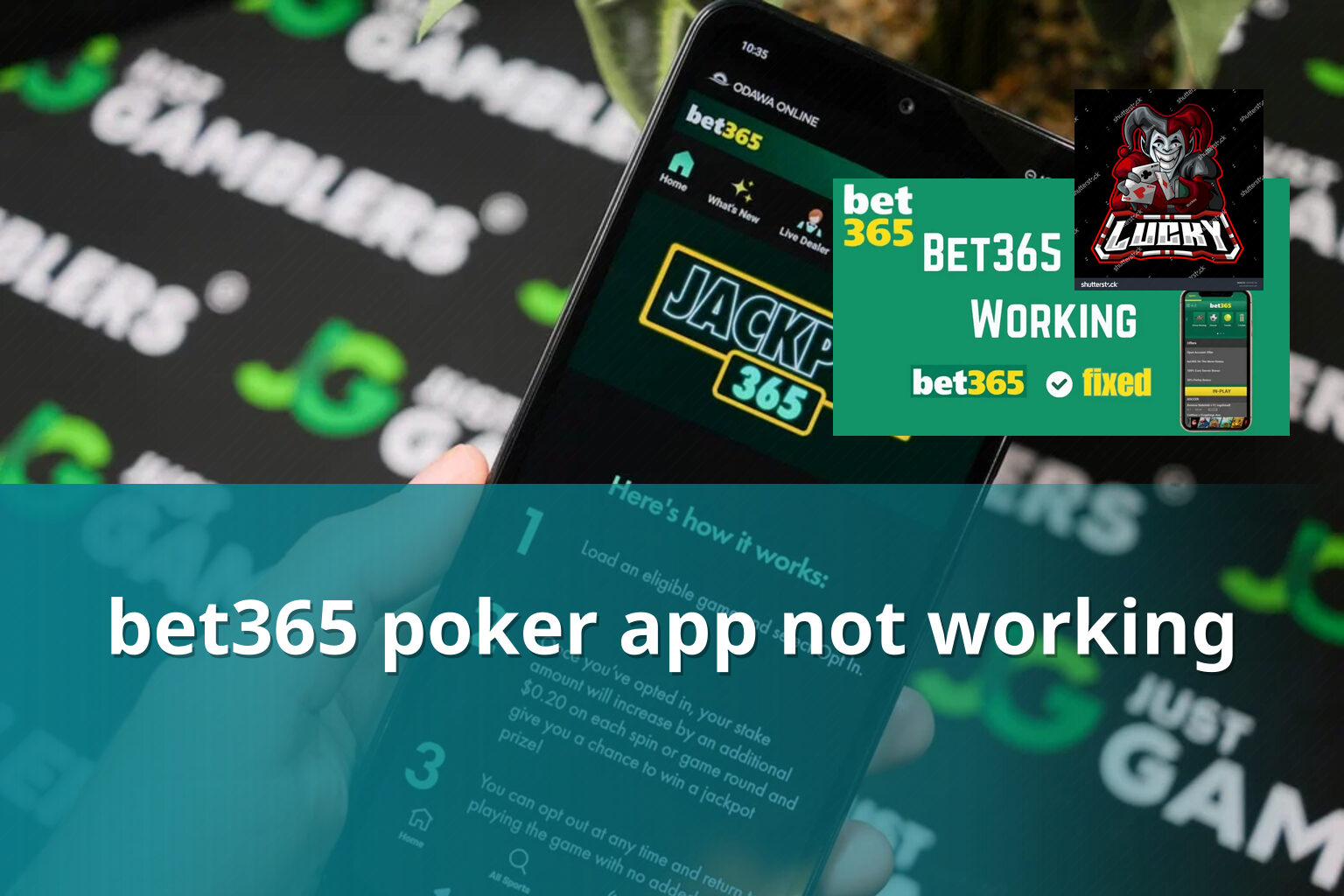 bet365 poker app not working - gaming_brand