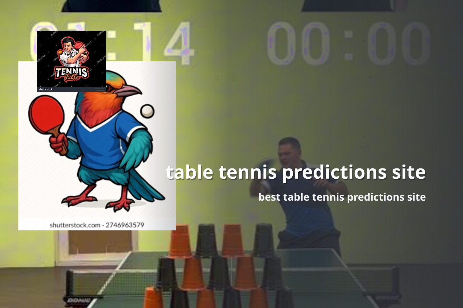 table tennis predictions site best table tennis predictions site