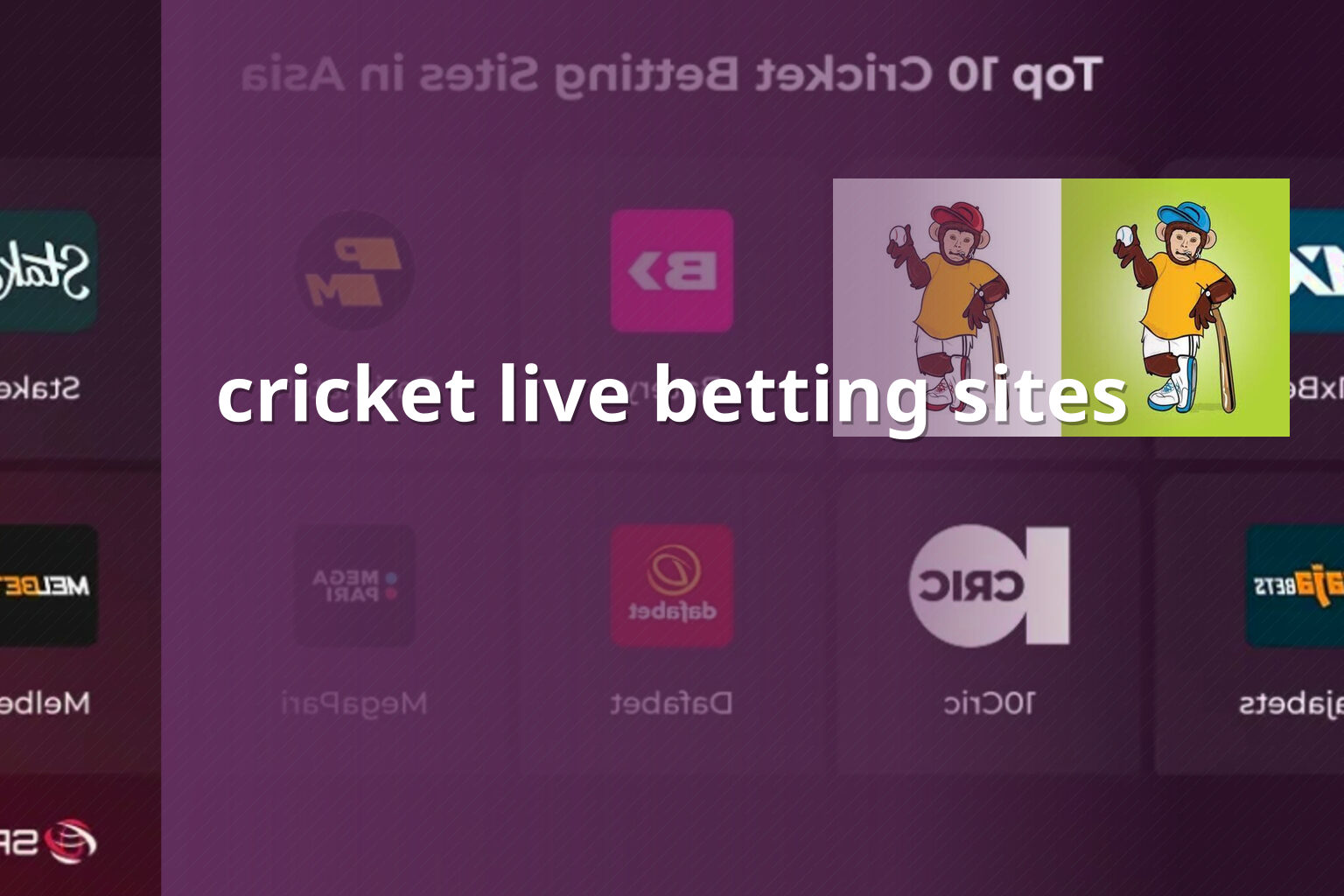 cricket live betting sites - การพนัน