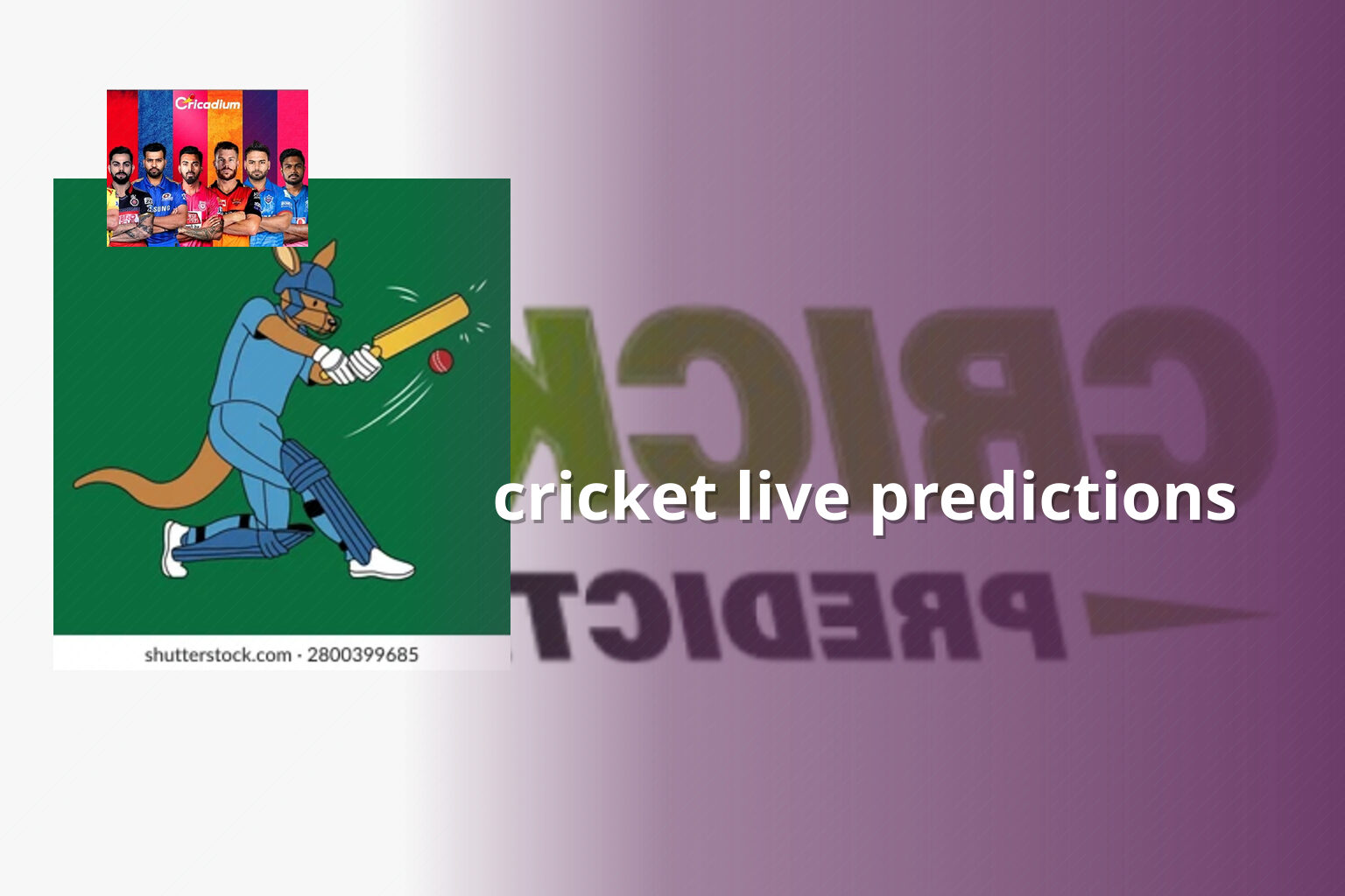 cricket live predictions - cricket_betting
