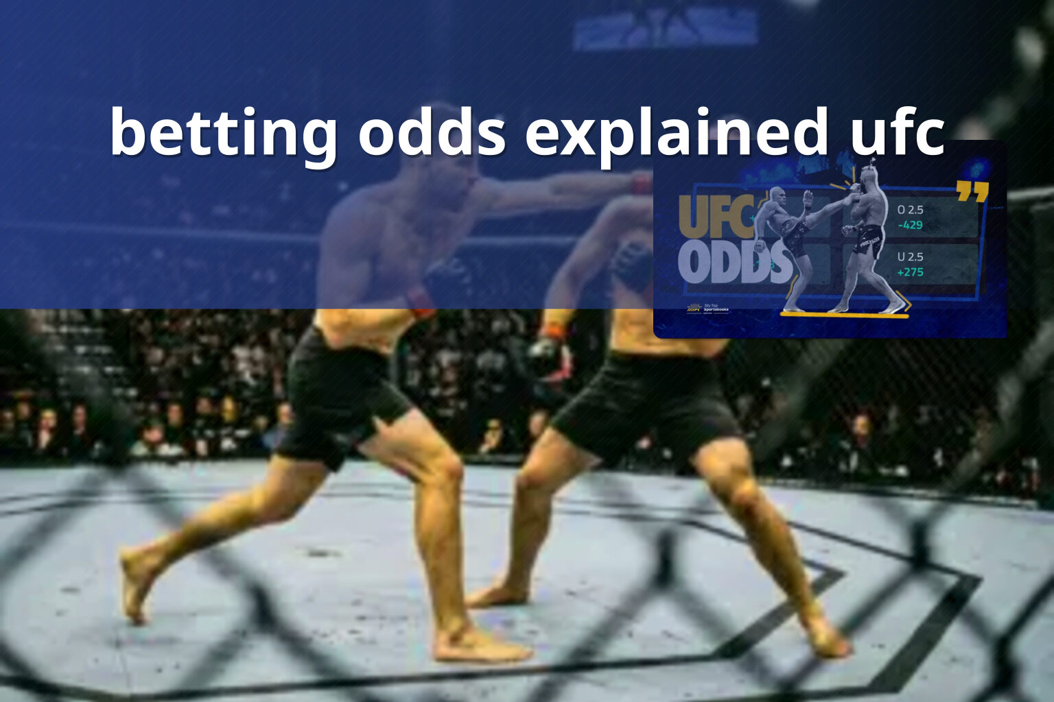 betting odds explained ufc - การพนัน