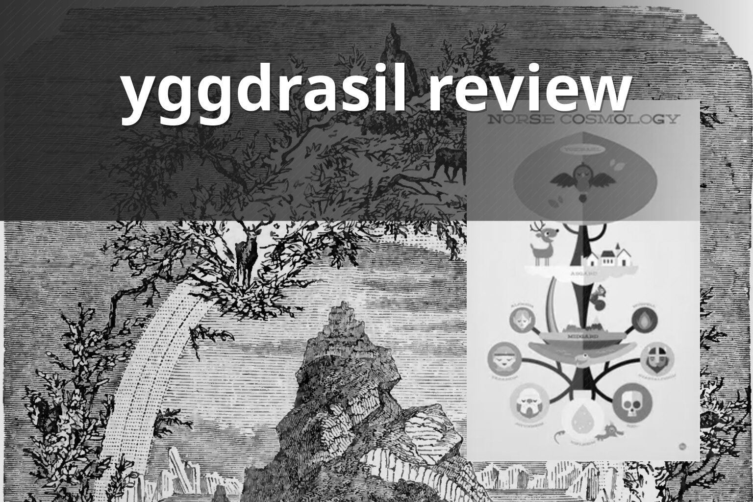 yggdrasil review - gaming_brand