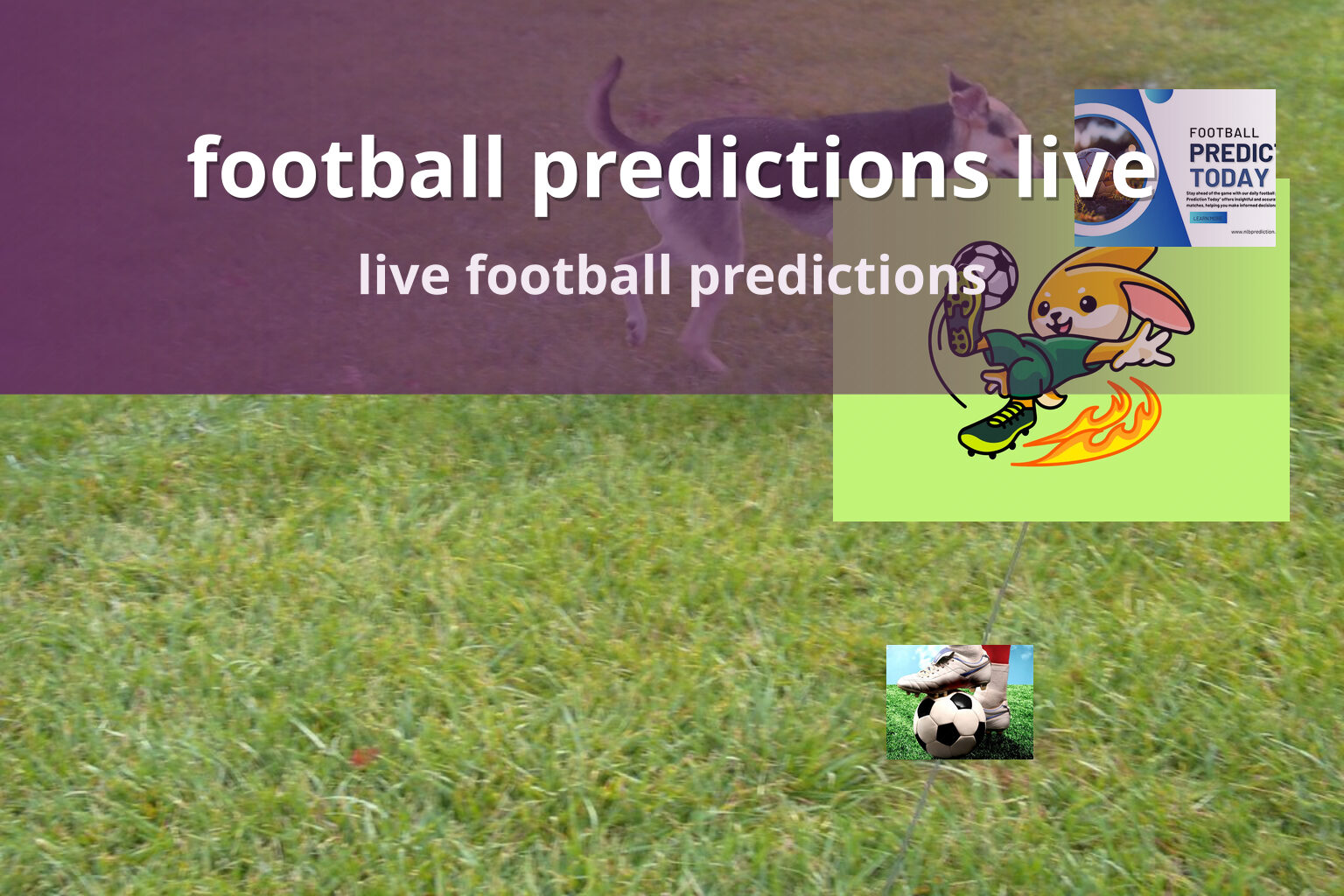 football predictions live live football predictions