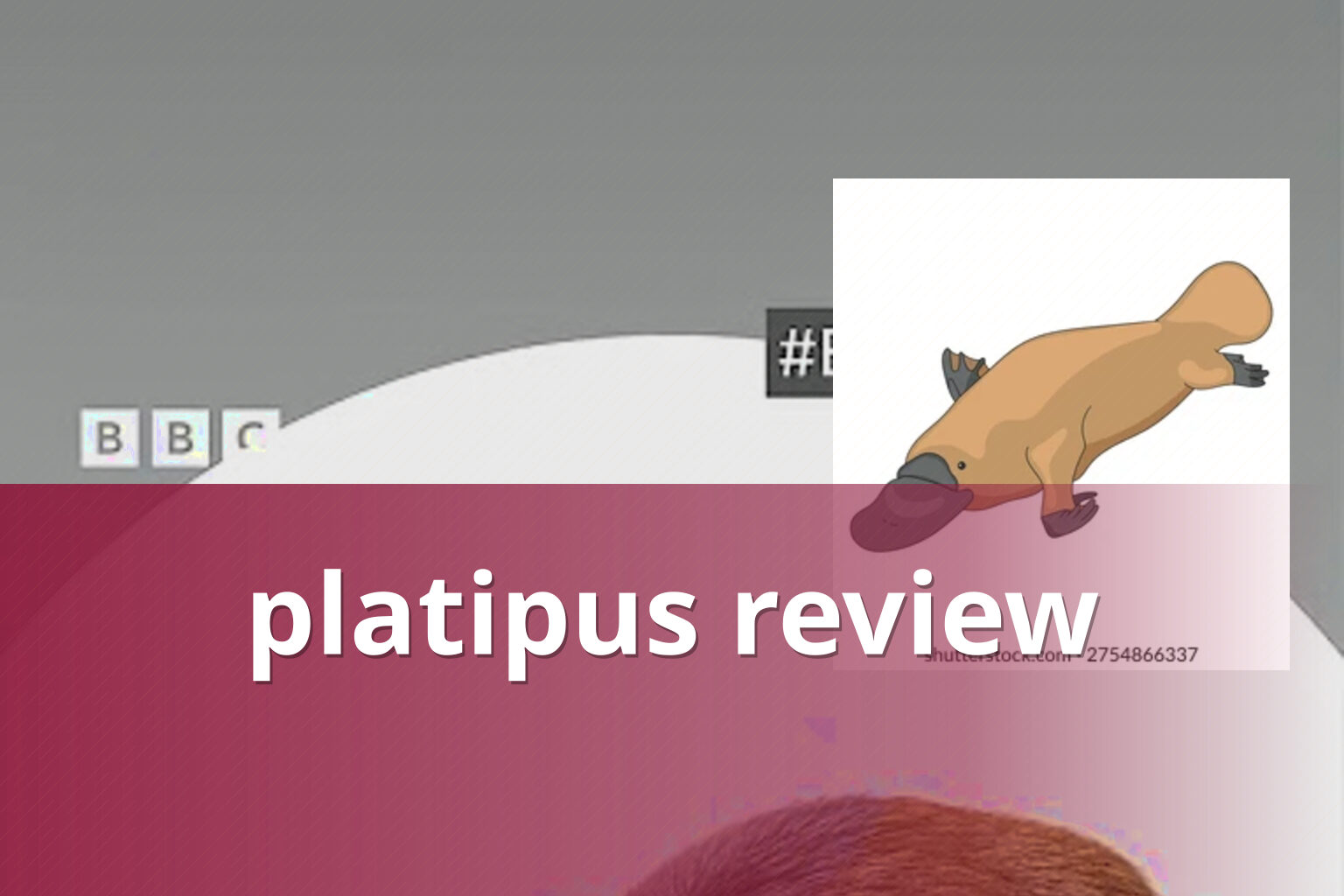 platipus review - gaming_brand