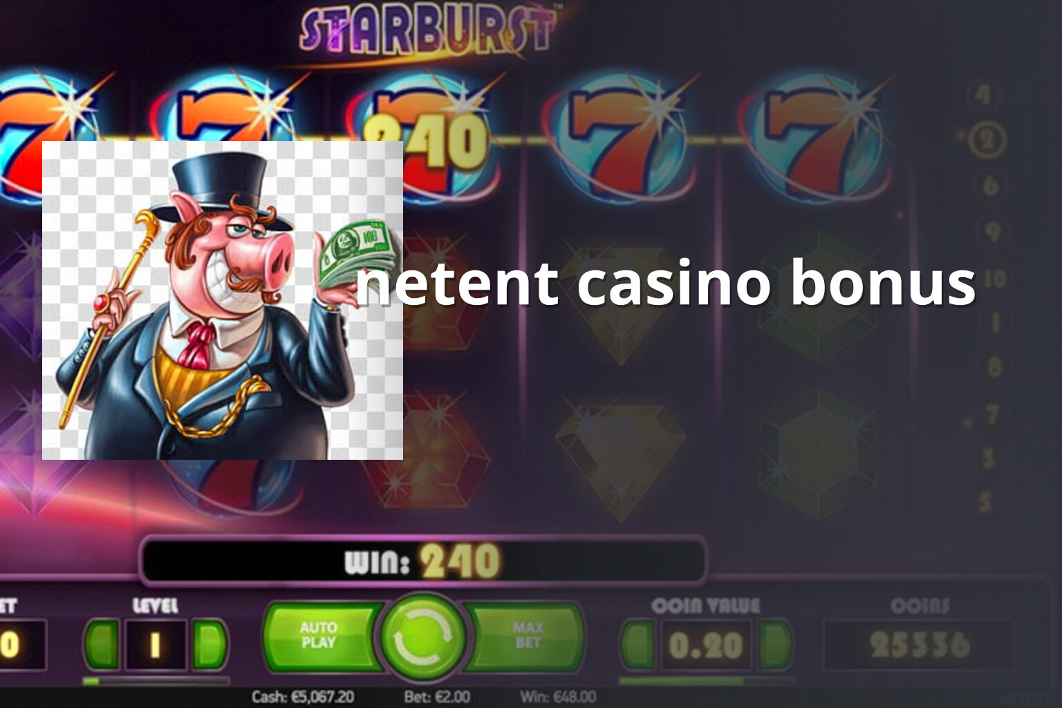 netent casino bonus - casino