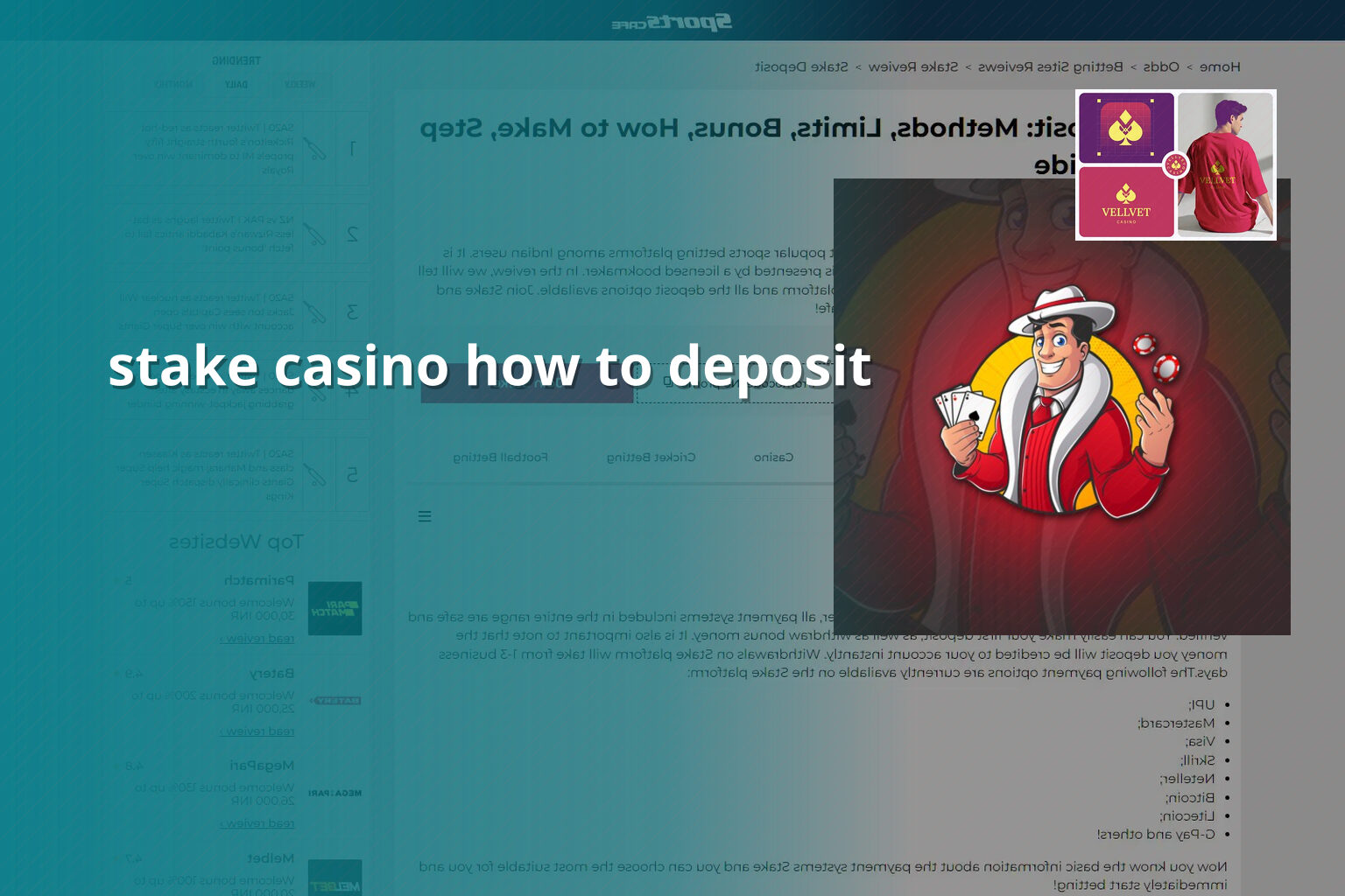 stake casino how to deposit - gaming_brand