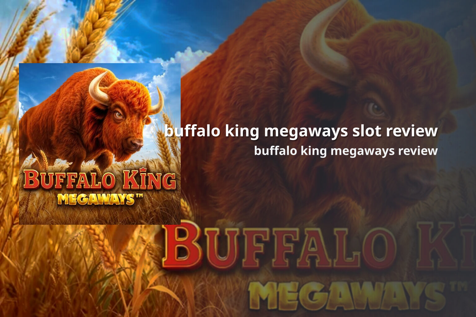 buffalo king megaways slot review buffalo king megaways review