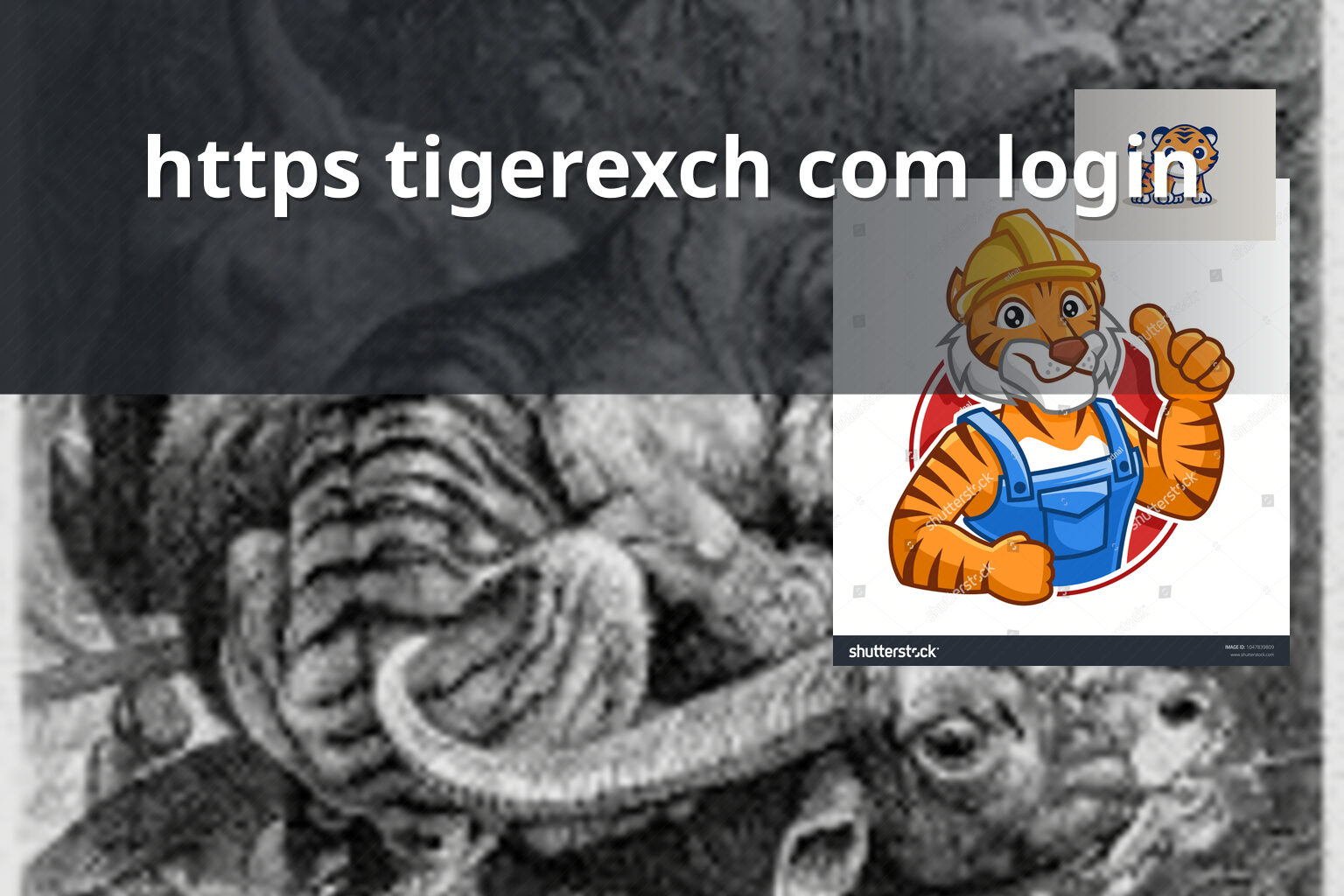 https tigerexch com login - gaming_brand